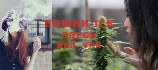 шишки Богданович
