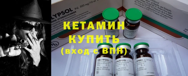 PSILOCYBIN Белокуриха