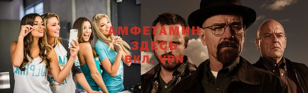 дживик Богородск