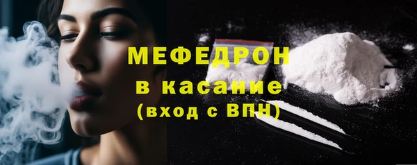 мдпв Богородицк