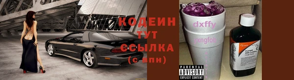 шишки Богданович