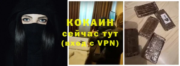 PSILOCYBIN Белокуриха