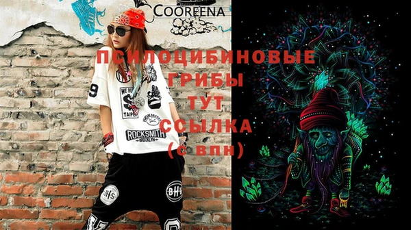 шишки Богданович