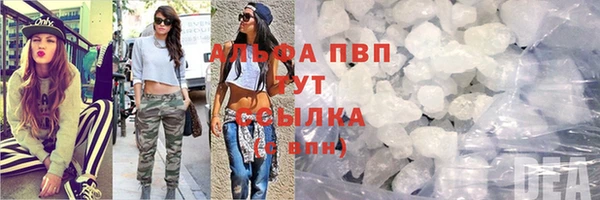 PSILOCYBIN Белокуриха
