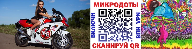 Купить где  Белозерск  Псилоцибиновые грибы мицелий 